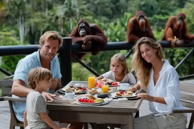 Petualangan Bali Zoo: Sarapan Tak Terlupakan dengan Orangutan