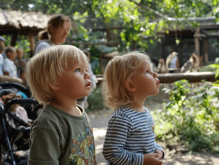 Zoo and wildlife style parks in Bali 2026 – main venues, logistics and first-look family pros and cons