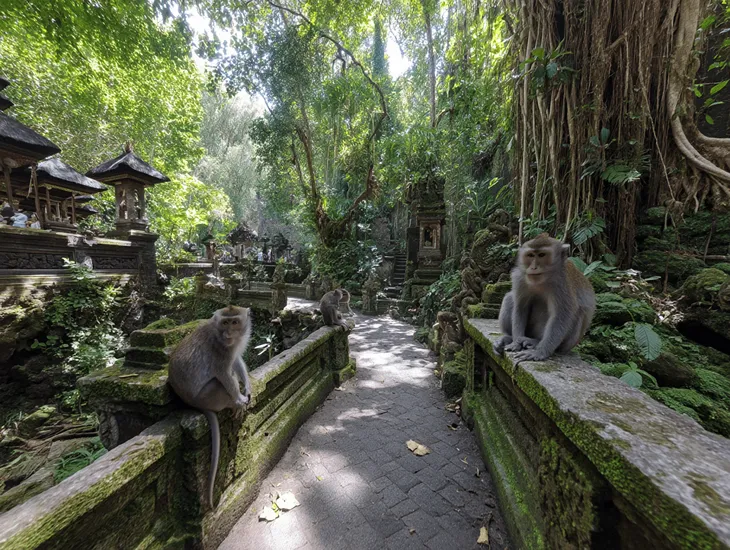 Ubud Monkey Forest 2026 – central Ubud location, sacred temples, shaded jungle paths for families