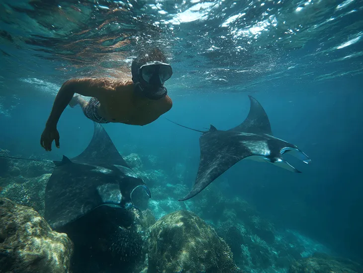 Manta Ray Snorkeling in Nusa Penida 2026 – Snorkelers calmly observing manta rays from a safe distance near a reef cleaning station.