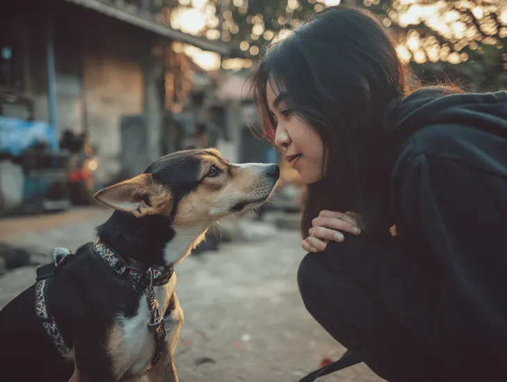 Safety Protocols for Pets in Bali 2026 – Snake avoidance training, pavement heat checks, and rabies prevention.