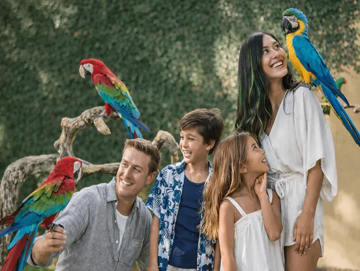 Bali Bird Park for Kids 2026 – A professional babysitter helping a child feed nectar to a colorful lorikeet.