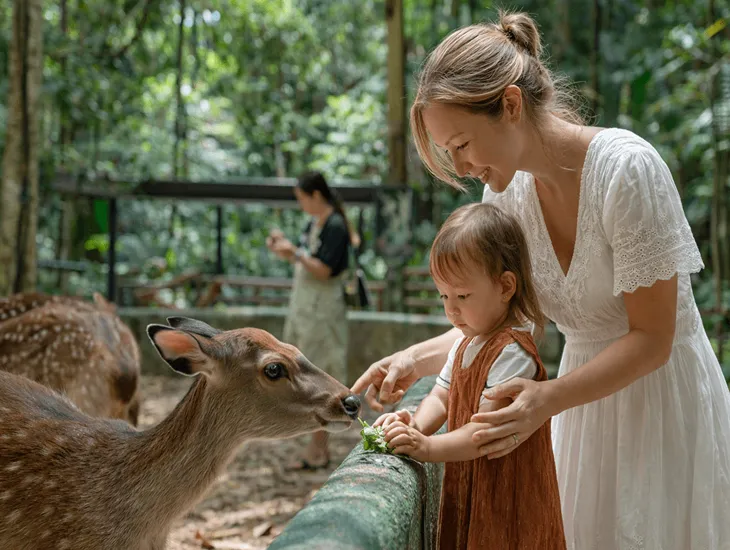 Bali babysitter Activities 2026 – Educational games, pool safety supervision, and creative play for children.