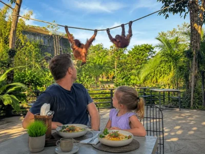 Breakfast with Orangutans at Bali Zoo: Is It Worth the Early Morning