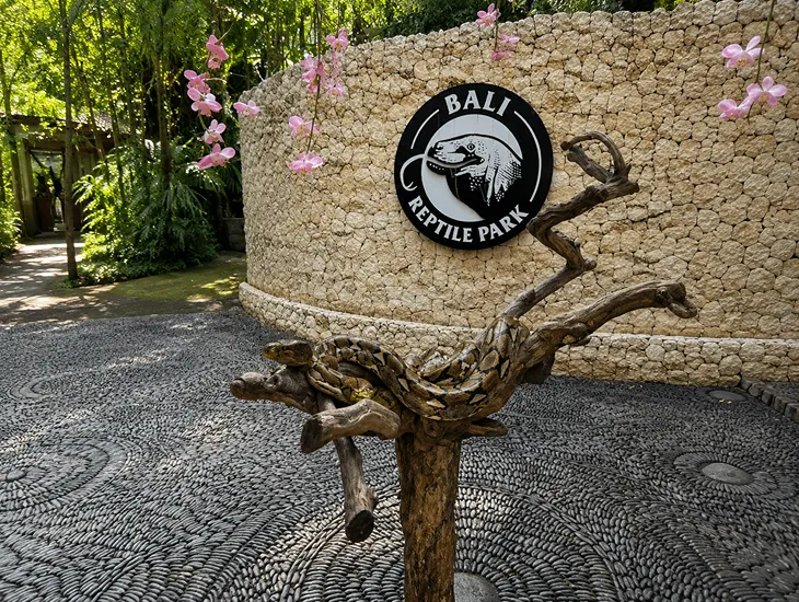 Bali Reptile Park Python Experience 2026 – Caregiver gently guiding a toddler near the zoo sanctuary grounds