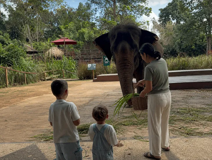 Bali Safari & Marine Park 2026 – Babysitter in Indonesia ensuring child safety near aviary