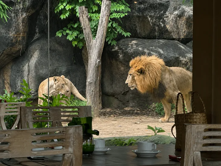 Tsavo Lion Restaurant 2026 – Caregiver gently guiding a toddler near the zoo sanctuary grounds