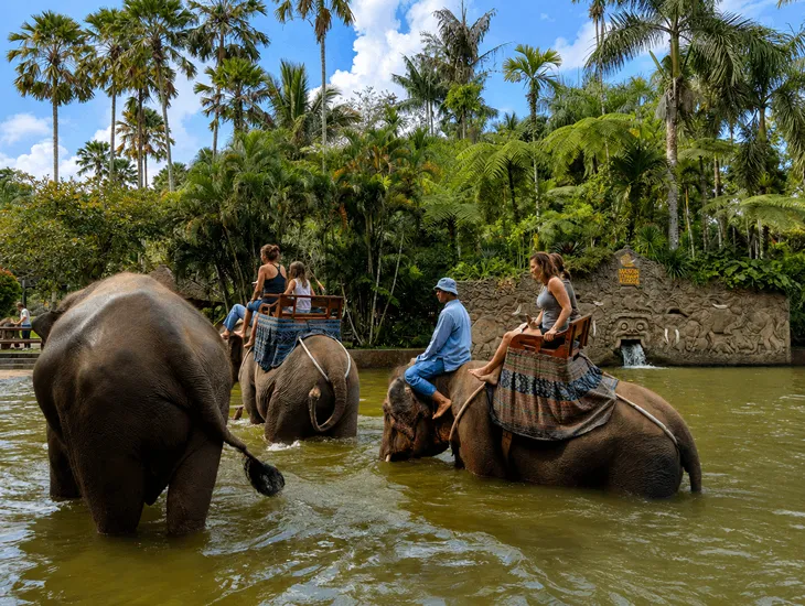 Mason Elephant Park 2026 – Babysitter in Bali ensuring a child washes hands after wildlife excursion
